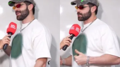 DJ Alok durante apresentação